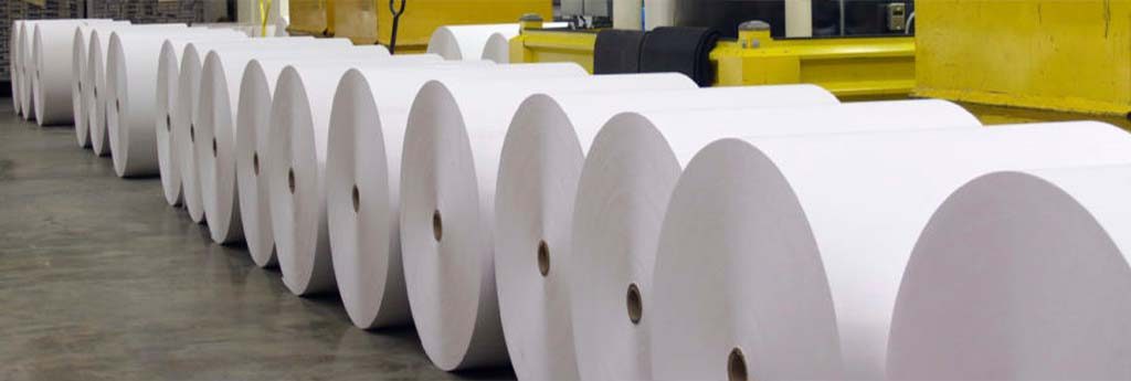 produção de papel de celulose